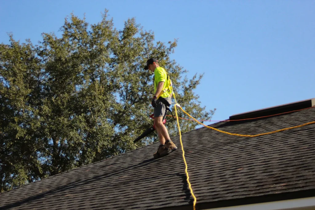 Roof edge under trees